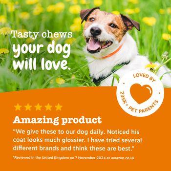 Zesty Paws 5-in-1 Multivitamins for Dogs