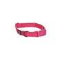 Rufus & Rosie Padded Dog Collar, Large, Pink