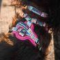 Doodlebone Trendy Tails Padded Dog Collar Pink 1-2