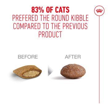 Royal Canin FHN Ageing Dry Cat Food 11+ 400g