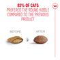 Royal Canin FHN Ageing Dry Cat Food 11+ 400g
