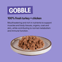 KatKin GOBBLE Fresh Cat and Kitten Food (Turkey + Chicken) 1x80g