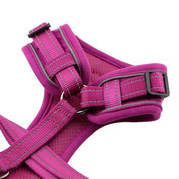 Doodlebone Trendy Tails Stomp Dog Harness Purple 2-3