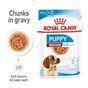Royal Canin Puppy Medium Breed in Gravy Multipack 48x85g