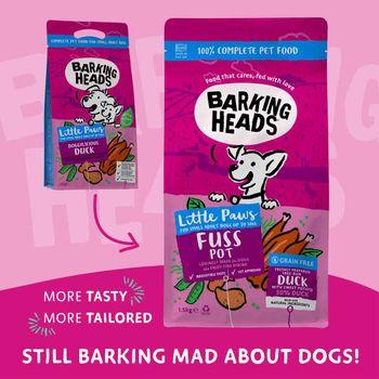 Barking shops heads small breed