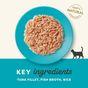 Applaws Cat Food Tuna Fillet in Broth 70g Pouch