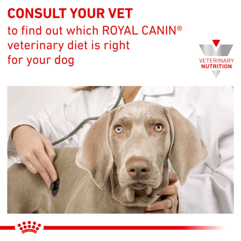 Royal canin veterinary diet sensitivity control chicken rice deals