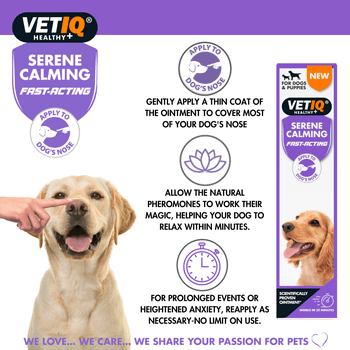 VETIQ Serene Dog Calming Rapid Relief Ointment 50g