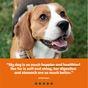 Harringtons Wet Dog Food Mixed 6x400g
