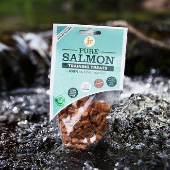 JR Pet Products Pure Salmon Training Treats, 85g