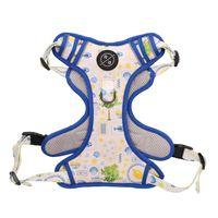Rufus & Rosie Sunny Lemon Dog Harness & Lead Set Medium