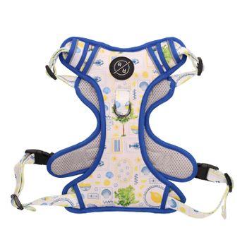 Rufus & Rosie Sunny Lemon Dog Harness & Lead Set Medium