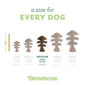 Benebone Fishbone Dog Toy Medium 