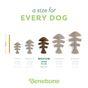 Benebone Fishbone Dog Toy Medium 