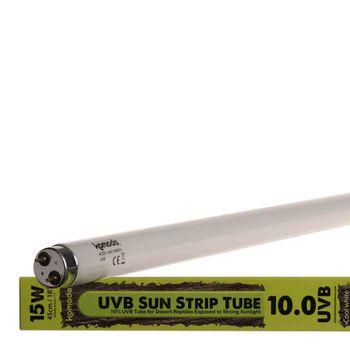 T8 uvb bulb discount