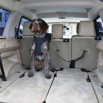 KONG Cargo Swivel Seat Belt Tether