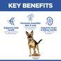Hill'S Science Plan Mature Adult Large Breed Dry Dog Food Chicken Flavour 14kg