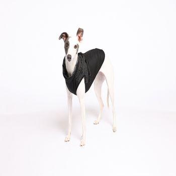 Rufus & Rosie Full Harness Dog Coat, Medium