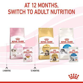 Royal Canin Kitten Pouch Multipack in Jelly 48x85g