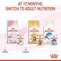 Royal Canin Kitten Pouch Multipack in Jelly 48x85g