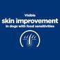 Hill'S Prescription Diet Derm Complete Skin Care & Food Sensitivities Dry Dog Food With Rice & Egg 12kg