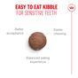 Royal Canin FHN Ageing Dry Cat Food 11+ 400g