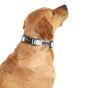 Doodlebone Trendy Tails Padded Dog Collar Pink 3-6