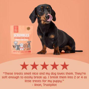 Scrumbles Softies Training Treats for Dogs Chicken and Duck 90g