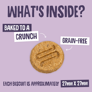 Scrumbles Turkey Nibbles: Calming Treats for Dogs 100g