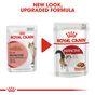 Royal Canin Instinctive Wet Cat Food in Gravy 48x85g
