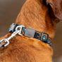 Neerdog Go-Cee-Hollyhock-Collar Large