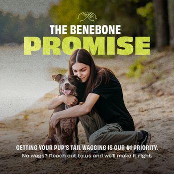 Benebone Rubber Pawbler Enrichment Dog Toy