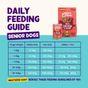 Edgard & Cooper Adult Tin Chicken & Salmon 6x400g