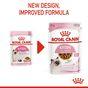 Royal Canin Kitten Pouch Multipack in Gravy 48x85g