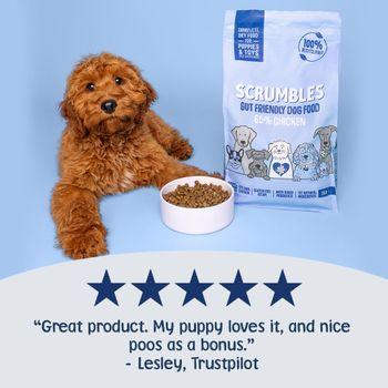 Scrumbles Dry Food for Puppy & Toy Breeds Chicken 2kg