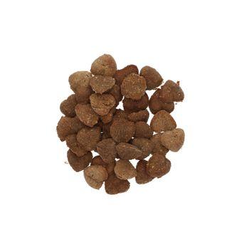 Harringtons Turkey Low Fat Dog Treats 100g