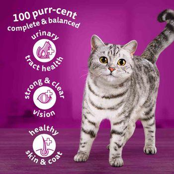 Whiskas 1+ Complete Dry with Chicken Cat Food, 3.8kg