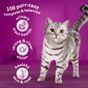 Whiskas 1+ Complete Dry with Chicken Cat Food, 3.8kg
