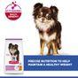 Hill's Science Plan Adult Light Small & Mini Dry Dog Food Chicken Flavour 1.5kg
