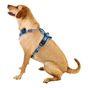 Doodlebone 'With Me' Dog Harness Blue 4-7