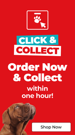 Category Promotion Image