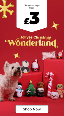 Category Promotion Image