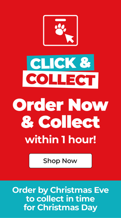 Category Promotion Image