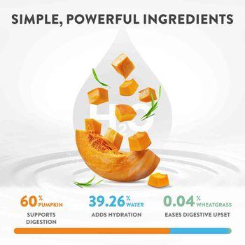 Schesir Functions Digestive Topper Adult Cat Pumpkin & Wheatgrass 40g