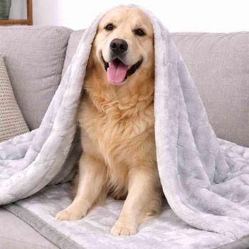 Snug & Cosy Bone Print Dog Blanket Grey