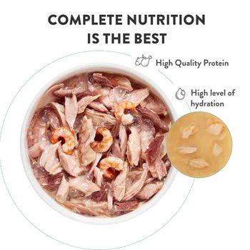 Schesir Complete and Balanced Wet Cat Food Salmon Fillet in Jelly 85g