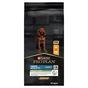 PRO PLAN Large Athletic Puppy Healthy Start Chicken Dry Dog Food 12kg