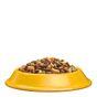 Whiskas 1+ Complete Dry with Chicken Cat Food, 3.8kg