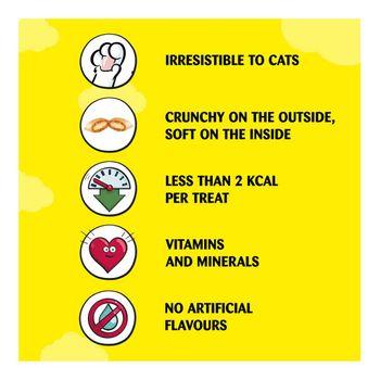 Dreamies Mix with Scrumptious Salmon and Delicious Cheese 60g
