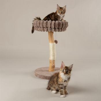Scruffs Colorado Cat Scratching Tree Taupe